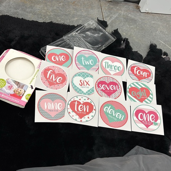 ABG Baby First Year Milestone Stickers 12 Count Infant Girls Precious Memories - Picture 5 of 16